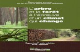 L'arbre et la forêt à l'épreuve d'un climat qui change...l’évolution de la forêt s’insère dans l’histoire climatique et n’est pas perçue à l’échelle d’une vie