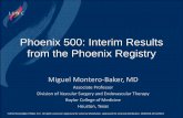 Phoenix 500: Interim Results from the Phoenix Registry · Phoenix Atherectomy System Versatility: Phoenix effectively treats a broad range of tissue types, from soft plaque to calcified