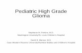 Pediatric High Grade Glioma - QARC · Newly Diagnosed Children with Diffuse Intrinsic Pontine Gliomas • Pediatric Brain Tumor Consortium (PBTC) – A Phase I Trial of Panobinostat