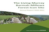 The Living Murray Barmah-Millewa Forest Icon Site · WMA Water Management Area. Barmah-Millewa Forest Icon Site Annual Report 2010 – 2011 5 1 Summary ... hypoxic blackwater event