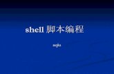 shell 脚本编程 - linuxtonedocs.linuxtone.org/ebooks/Shell/shell-programming.pdf · Shell的基本知识（2） 同传统的编程语言一样，shell提供了很多 特性，这些特性可以使你的shell