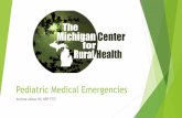 Pediatric Medical Emergenciesmcrh.msu.edu/education/Pediatric Medical Emergencies2.pdf · Michigan MI-Medic Pediatric Dosing Cards, Michigan Department of Health and Human Services