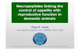 Neuropeptides linking the control of appetite with ... · Neuropeptides linking the control of appetite with reproductive function in domestic animals Clay A. Lents ... Clarke, 2014