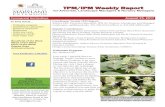TPM/IPM W eekly R epo rt€¦ · TPM/IPM W eekly R epo rt - Pollinator program - Saddleback caterpillars - Barberry webworm ... be increased by training the central leader to its