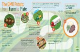Infographic GMOs Farm to Plate v12 042617 - GMO Answers · GMOs go through rigorous review. On average, GMOs take 13 years and $130M of research and development before coming to market.