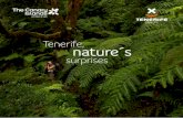 Tenerife, nature´s...WHAT TO DO: One of the most exciting experiences in the National Park is going up the cable car. The base station is 2,356 m high and the top station is situated
