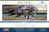 Cosmic Burst takes the G3 Honeybee at Oaklawn, besting Amy ... · Cosmic Burst gamely holds off G1W Eskimo Kisses to break her maiden at Keeneland. Taking on winners for the first