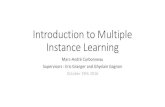 Introduction to Multiple Instance Learning · Carbonneau, V. Cheplygina, E. Granger, and G. Gagnon, ^Multiple Instance Learning: A Survey on Problems haracteristics and Applications,