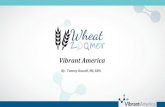 Vibrant America · Gluten is a super protein complex made up of gliadin and glutenin Gliadin tends to be the more reactive portion of gluten for most people Gliadin has the most research