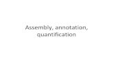 Assembly, annotation, quantification Assembly.pdf · annotation GTF file Transcript identification StringTie Raw reads FASTQ file Genome sequence FASTA file Genome annotation GFF/GTF