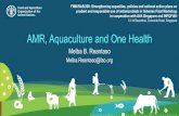 AMR, Aquaculture and One Health · sulphadiazine (Scarano et al., 2014). Thus, AMR in bacterial pathogens of aquatic animals could impact disease management in these systems and the