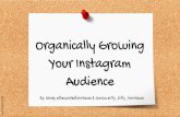Your Instagram Audience - havenconference.com · Instagram following. Unless you think that buying followers is a good idea – be warned, it’s not! No Shortcuts This will only