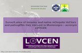 SurveilLance of invasive and native mOsquito VeCtors and … · 2015. 2. 5. · Za samo 6 mjeseci, od 2. Juna, Projekat LOVCEN je napravio kontakt ili postao partner sa: 1. European