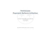 Tennessee Payment Reform Initiative - TN.gov · 2017. 10. 8. · Payment Reform Initiative PidProvider SkhldStakeholder Group MiMeeting July 17, 2013 PRELIMINARY WORKING DRAFT, SUBJECT