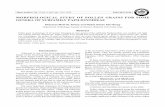 MORPHOLOGICAL STUDY OF POLLEN GRAINS FOR SOME …plantarchives.org/17-2/1711-1722 (3874).pdf · - Jabal Singar 1981-4-22 BAG -53344 Pisum sativum subsp. elatius Babilon University