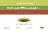 AFRICA HIGH LEVEL - AFR100 High Level Bonn Challenge... · disaster risk reduction, wood products, biodiversity conservation, and rural development, as well as for several existing