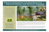 Restoring the Longleaf Ecosystem on the Conecuh …a123.g.akamai.net/7/123/11558/abc123/forestservic...The Longleaf Ecosystem Restoration Strategy: Based upon findings of the EIS,