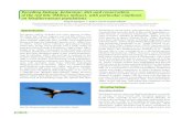 Breeding biology, behaviour, diet and conservation of the red kite … kite... · 2011. 5. 20. · Red kite flying prospecting. Sergio González Ahedo. 191 Breeding density and nest