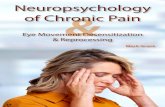 Neuropsychology of Chronic Pain · 2015. 6. 13. · and processing experiential information. Sensory information (e.g., nociception) enters via the brain stem and travels up through