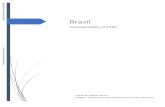 Brazildocuments.worldbank.org/.../Brazil-Interoperability... · Brazil Interoperability of ATMs THE WORLD BANK GROUP FINANCE, COMPETITIVENESS & INNOVATION GLOBAL PRACTICE Public Disclosure