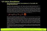 Genotype-Phenotype Correlations in Cornelia de Lange Syndrome€¦ · Rohatgi S, Clark D, Kline AD, Jackson LG, Pie J, Siu V, Ramos FJ, Krantz ID, Deardorff MA (2010) Facial diagnosis