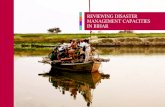 REVIEWING DISASTER MANAGEMENT CAPACITIES IN BIHAR · Devale , Praveen Pawar and Aahna Srikanth of RedR India in March-April 2013, as a part of the review of Bihar’s Disaster Management