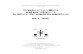 Structural algorithms and perturbations in differential-algebraic equations · suit methods for index reduction which we hope will be practically applicable and well understood in