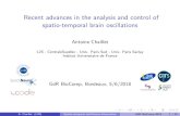 Recent advances in the analysis and control of spatio ...gdr-biocomp.fr/wp-content/uploads/2018/...Chaillet.pdf · Recent advances in the analysis and control of spatio-temporal brain