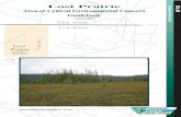 Lost Prairie Area of Critical Environmental Concern ...Area of Critical and Environmental Concern (ACEC) designations highlight areas where special management attention is needed to