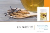 DXN CORDYCEPS The essence of vitality, stamina and energy. A€¦ · CORDYCEPS ON IMMUNE SYSTEM •Cordyceps is a powerful immune system booster. •It increases the production of