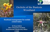 Orchids of the Banksia Woodland...Orchids of the Banksia Woodland •Bushland management for orchid conservation Dr Penny Hollick Shire of Serpentine Jarrahdale Environmental & Biodiversity