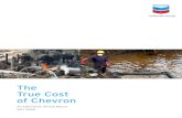 True Cost of Chevron - EarthRights International · 2 Chevron Alternative 2008 Annual Report Chevron 2nd largest u.s. oil company, 3rd largest u.s. corporation, 4th largest global