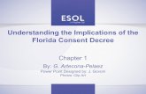 Florida Consent Decree Understanding the Implications of the The Consent Decree is Florida's framework