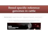 Breed specific reference genomes in cattle · Bartosz Czech1, Magda Mielczarek1,2, Magdalena Frąszczak1, Joanna Szyda1,2 1Wrocław University of Environmental and Life Sciences,