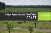 Citrus Research and Field Trials CRAFTflcitrusmutual.com/files/930c5126-d8c6-46fa-a.pdfJun 13, 2019  · Citrus Research and Field Trials. CRAFT Grower-driven demonstration program