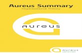 Aureus Summary · Organizing: structuring working relationships, ... The four building blocks: efficiency, quality (speed,flexibility), innovation, ... based on a new approach to