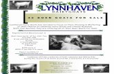 4 0 B O E R G O A T S F O R S A LE - LynnhavenLynnhaven Dairy Goats has decided to focus on their Showing & Marketing of their Nubian & Lamancha Dairy Goats and Cheese Business. With