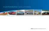 CUSTOMIZED SOLUTIONS - brehmermechatronics.com · CUSTOMIZED SOLUTIONS | PROJECT EXAMPLES 5 Another example of our diverse options in the area of development is the project for the