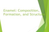Enamel: Composition, Formation, and Structure · enamel must delimit the cavity into which rod enamel is formed; At both sites the enamel is of identical composition, and rod and