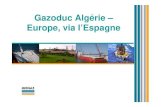 Gazoduc Algérie – Europe, via l’Espagne · 3 I. INTRODUCTION Antécédents : ¾ Années 70 : • La construction d’un gazoduc direct entre l’Algérie et l’Europe est envisagée.
