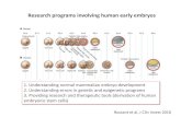 Research programs involving human early embryos · Epigenetic reprograming during embryo development • X inactivation as a model of epigenetic reprograming in human embryos (C.