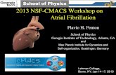 2013 NSF-CMACS Workshop on A Atrial Fibrillation · 2013. 1. 17. · • 1 in 5 have some form of heart disease. As computer science, Mathematics & Statistics and Biology majors :