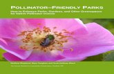 How to Enhance Parks, Gardens, and Other Greenspaces for ... · How to Enhance Parks, Gardens, and Other Greenspaces for Native Pollinator Insects. The Xerces Society for Invertebrate