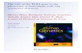 y DOI 10.1007/s00439-011-1020- Hum Genet ISSN 0340-6717 ...€¦ · Human Genetics ISSN 0340-6717 Hum Genet DOI 10.1007/s00439-011-1020-y The role of the TCF4 gene in the phenotype