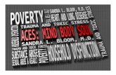 WHAT’S THE BIG DEAL ABOUT ACES? · occurring within the individual mind as long as psychiatry remains blind to the existence of mental disease within the social mind”. Trigant