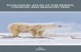 ECOLOGICAL ATLAS OF THE BERING, CHUKCHI, AND BEAUFORT … · Chapter 1: Introduction 2 1.1 Introduction 2 1.2 A Closer Look: Kawerak’s Contribution of Traditional Knowledge 7 Map