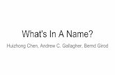What's In A Name?vision.cs.utexas.edu/381V-fall2016/slides/nelson-expt.pdf · Performed name and gender classification Also tested on ~400 randomly selected IMDB-Wiki images Dataset