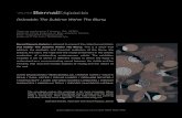 (In)visible: The Sublime Within The Blurry release (in) visible.pdf · DEAN / SAUL LEITER / OSCAR MUÑOZ / GERHARD RICHTER / THOMAS RUFF / JOSÉ ANTONIO SUÁREZ LONDOÑO / HIROSHI
