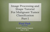Image Processing and Shape Tutorial For Malignant …Image Representation: Grayscale ! Grayscale Digital Image ! 8 bits per sampled pixel = 256 different intensities from 0 to 255.