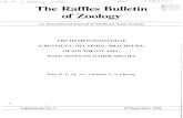 .J J/ ' The Raffles BuUetin ' of Zoology · 2008. 5. 6. · The Raffles Bulletin of Zoology publishes English language material on systematics, faunistics, ecology and other aspects